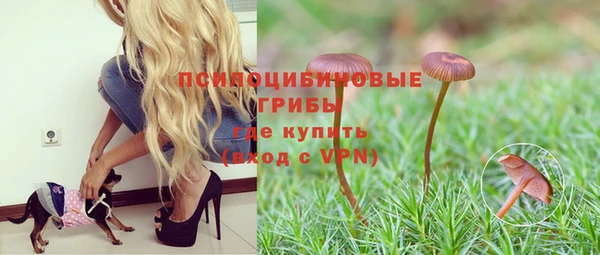 сатива Алексеевка