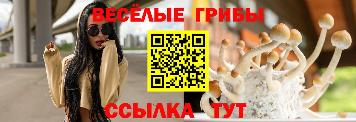 Галлюциногенные грибы прущие грибы Чусовой
